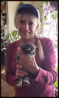 maine coon kittens for sale